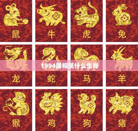 94年属|1994年出生的属什么属相 1994年出生的属十二生肖中。